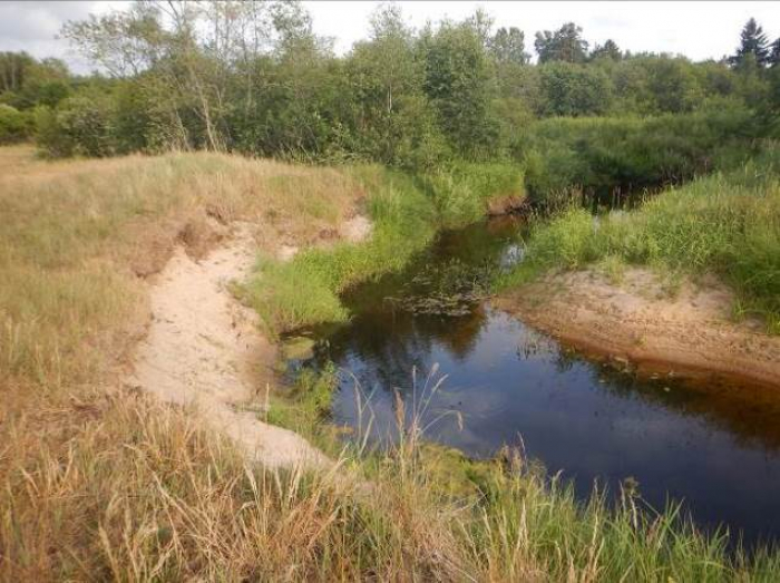 Dabas lieguma “Sventājas upes ieleja” dabas aizsardzības plāna sabiedriskā apspriešana